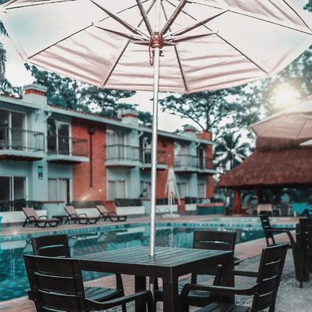 Hotel Y Restaurante Meson Del Gitano Caucasia Exteriör bild